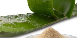 Aloe Vera Extract Powder