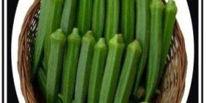 Hybrid Lady Finger Seeds