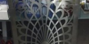 Laser Cutting Door Grill