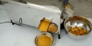 Mango Pulp Machine