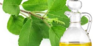 Tulsi Drops