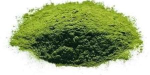 Wheat Grass Powder