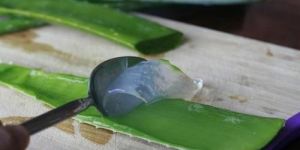 Aloe Vera Moisturizing Gel