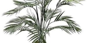 Artificial Palm Tree