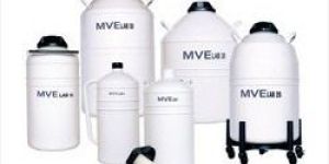 Laboratory Nitrogen Container