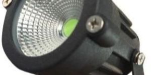 LED Multi Colour Focus Light