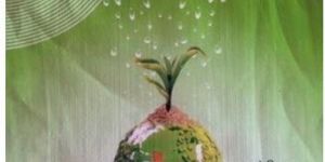 Seaweed Extract Fertilizer