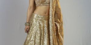Ethnic Party Wear Lehenga Choli