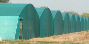 Agriculture Net House