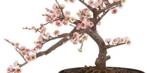 Artificial Bonsai Tree