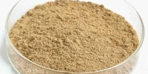 Soy Isoflavone Extract