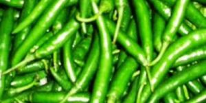 Green Chilly