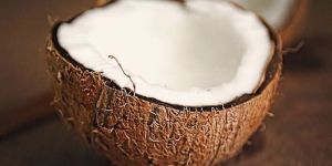 Coconut
