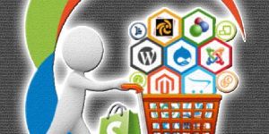 B2C Ecommerce Website Design Services