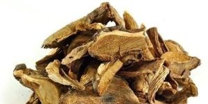 Dried Mushroom