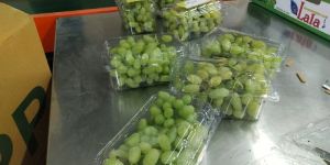 Fresh Grapes