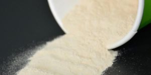 Bacillus Licheniformis