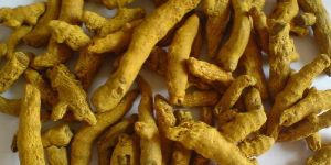 Turmeric Finger