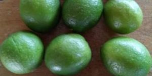 Fresh Lemon