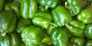Organic Capsicum