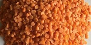 Organic Masoor Dal