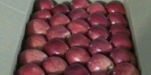 Organic Shimla Apple