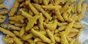 Organic Turmeric Finger