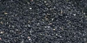 Organic White Sesame Seeds