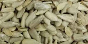 Organic White Sunflower Seeds