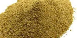 Safed Musli Extract