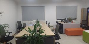 Language Translation Service