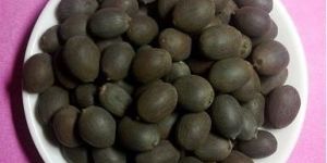 Lotus Seed