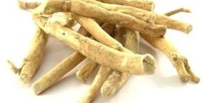 Ashwagandha Roots