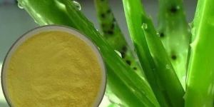 Aloe Vera Extract Powder