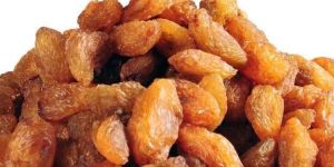 Dry Raisins