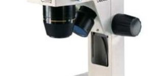 Student Stereo Microscope