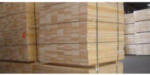 Pine Wood Timber