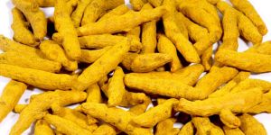 Dried Turmeric Finger