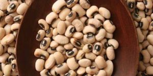 Cowpea Seeds