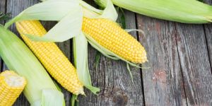 Fresh Corn