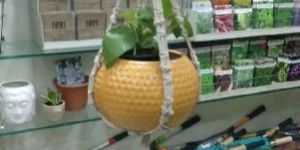 Hanging Pot