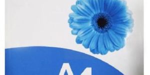 Crayon 70 GSM A4 Copier Paper