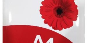 Crayon 75 GSM A4 Copier Paper