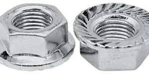 Flange Nuts