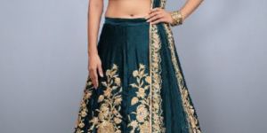 Embroidered Lehenga Choli