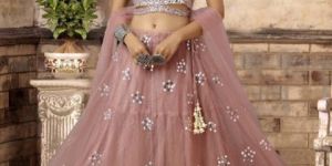 Net Lehenga Choli