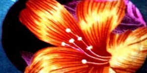 Velvet Round Door Mat