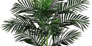 Artificial Palm Tree