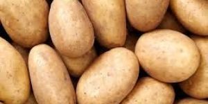Fresh Potato