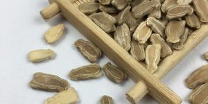 Hybrid Bottle Gourd Seeds